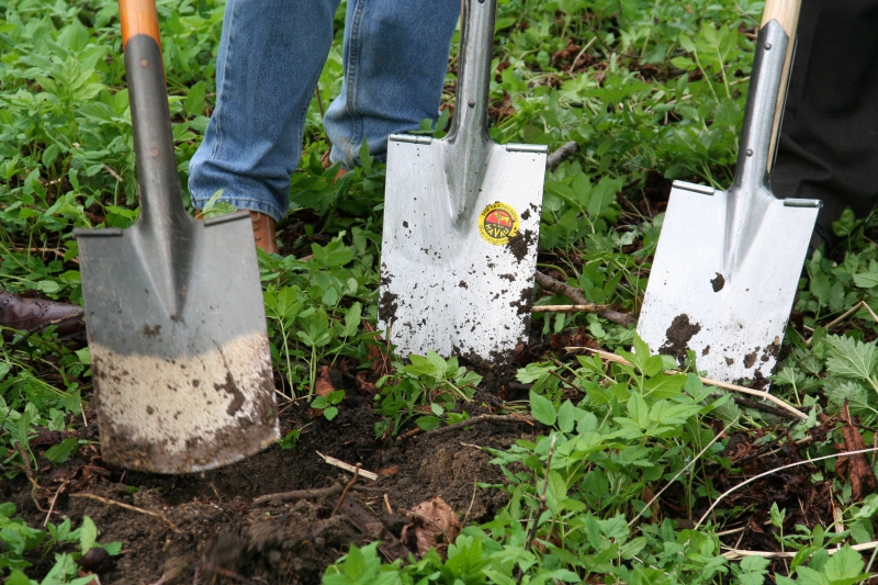 pepiniere-SALLAGRIFFON-min_work-lawn-flower-tool-green-backyard-1103633-pxhere.com